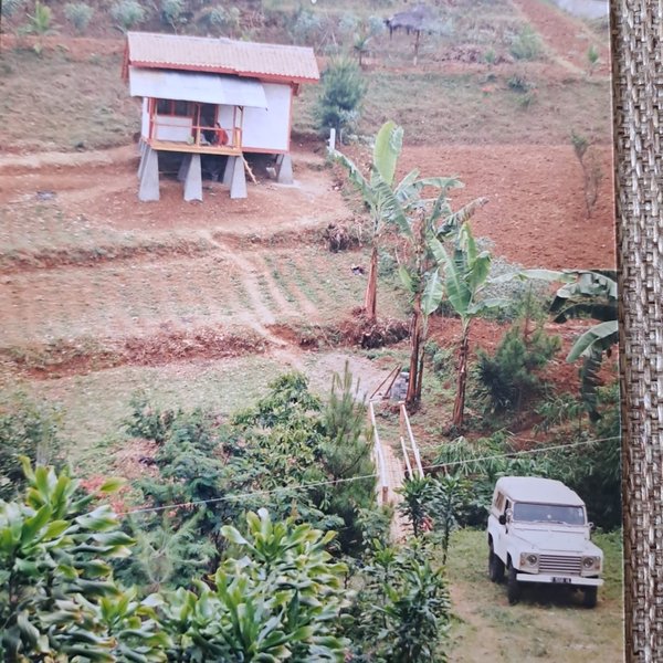 The land in the early 2000s, still in agricultural use