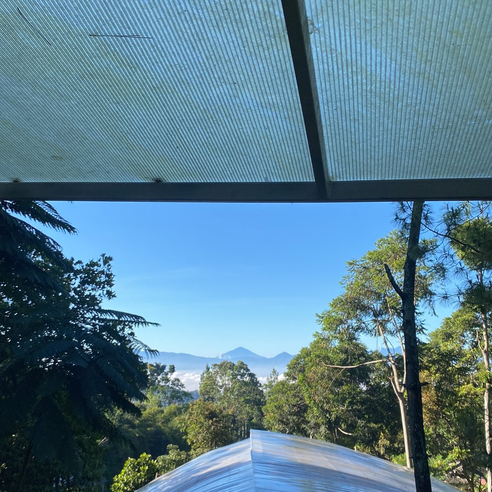 The workshop space under construction, forest beyond